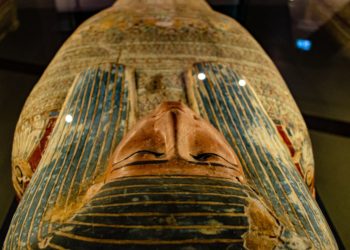 Escritos de una momia