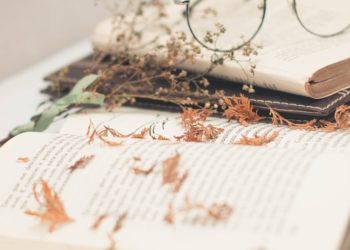 “Primavera de libros”: se inauguró la Feria del Libro de La Matanza